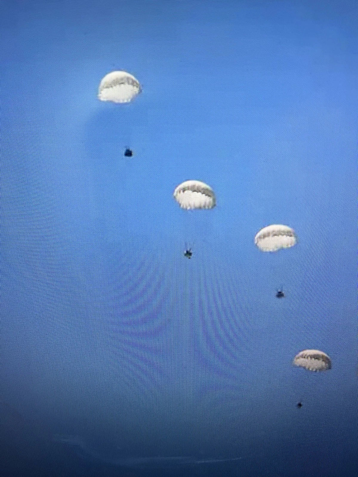 British Military 100ft. Diameter White Cargo Parachute With  Carry Bags - Image 1
